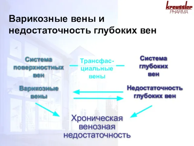 Варикозные вены и недостаточность глубоких вен Система глубоких вен Система поверхностных вен