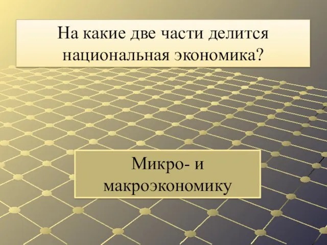 Микро- и макроэкономику На какие две части делится национальная экономика?