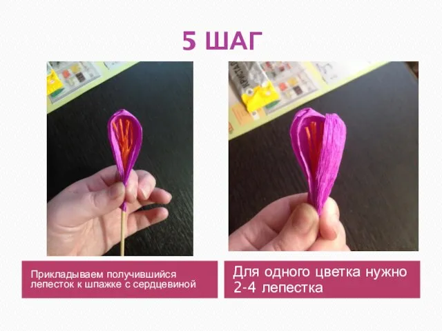 5 ШАГ Прикладываем получившийся лепесток к шпажке с сердцевиной Для одного цветка нужно 2-4 лепестка