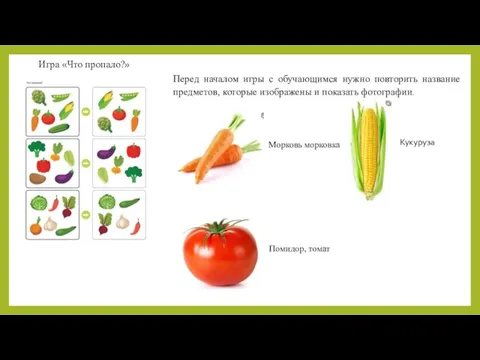 Игра «Что пропало?» Перед началом игры с обучающимся нужно повторить название предметов,