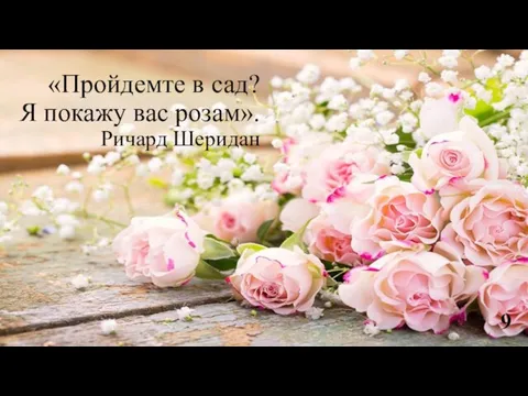 «Пройдемте в сад? Я покажу вас розам». Ричард Шеридан 9