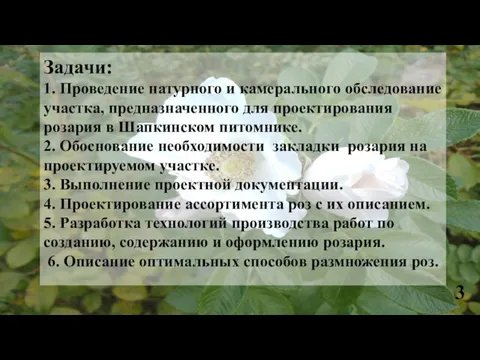 Задачи: 1. Проведение натурного и камерального обследование участка, предназначенного для проектирования розария