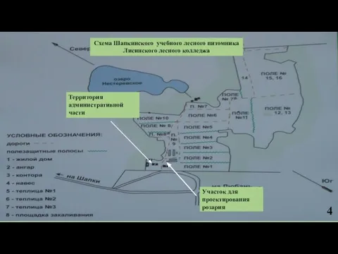 Схема Шапкинского учебного лесного питомника Лисинского лесного колледжа 4 Участок для проектирования розария Территория административной части