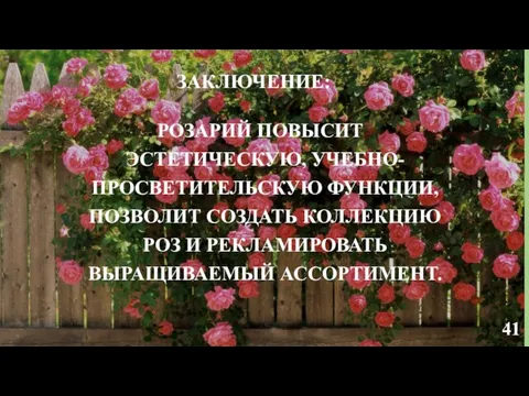 41 ЗАКЛЮЧЕНИЕ: РОЗАРИЙ ПОВЫСИТ ЭСТЕТИЧЕСКУЮ, УЧЕБНО-ПРОСВЕТИТЕЛЬСКУЮ ФУНКЦИИ, ПОЗВОЛИТ СОЗДАТЬ КОЛЛЕКЦИЮ РОЗ И РЕКЛАМИРОВАТЬ ВЫРАЩИВАЕМЫЙ АССОРТИМЕНТ.