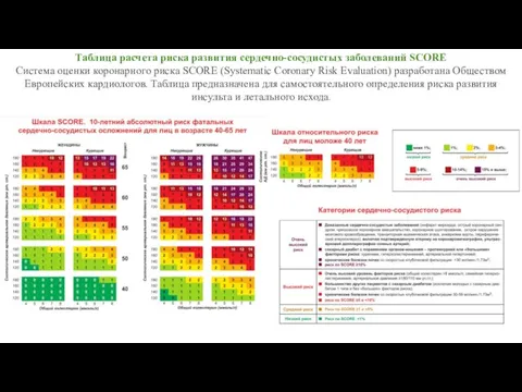 Таблица расчета риска развития сердечно-сосудистых заболеваний SCORE Система оценки коронарного риска SCORE