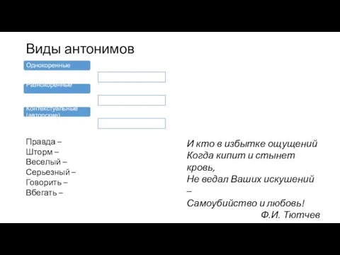 Виды антонимов Однокоренные Разнокоренные Контекстуальные (авторские) Правда – Шторм – Веселый –