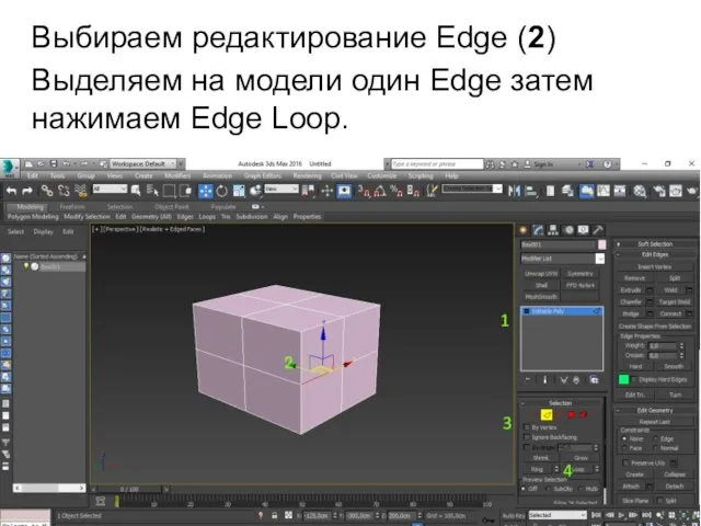 Выбираем редактирование Edge (2) Выделяем на модели один Edge затем нажимаем Edge Loop.