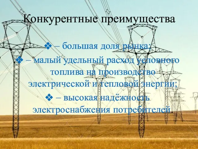 Конкурентные преимущества – большая доля рынка; – малый удельный расход условного топлива