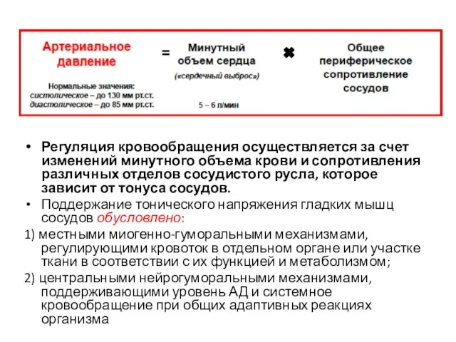 Регуляция кровообращения осуществляется за счет изменений минутного объема крови и сопротивления различных