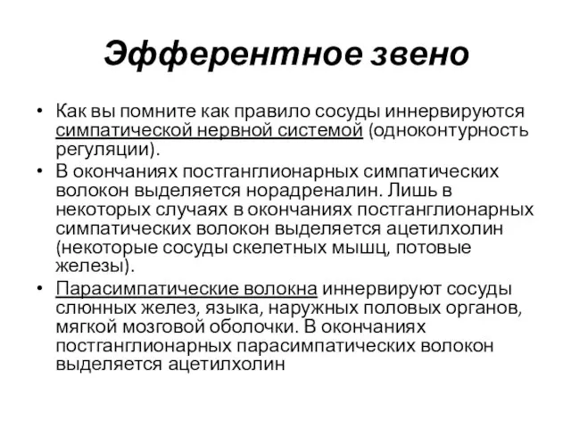 Эфферентное звено Как вы помните как правило сосуды иннервируются симпатической нервной системой