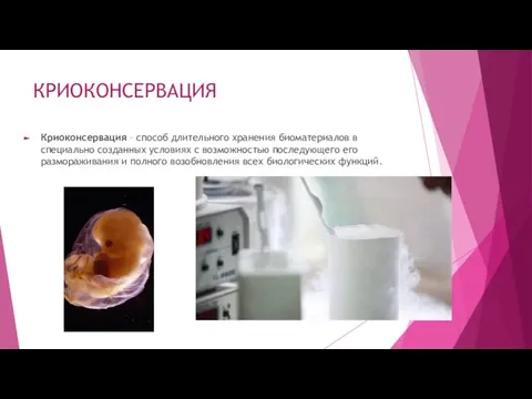 КРИОКОНСЕРВАЦИЯ Криоконсервация – способ длительного хранения биоматериалов в специально созданных условиях с