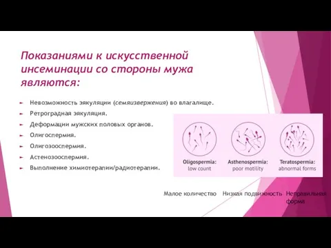 Показаниями к искусственной инсеминации со стороны мужа являются: Невозможность эякуляции (семяизвержения) во