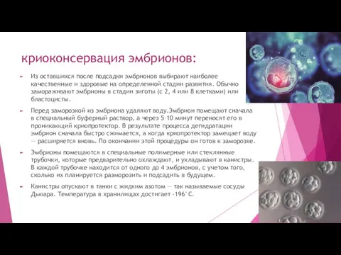 криоконсервация эмбрионов: Из оставшихся после подсадки эмбрионов выбирают наиболее качественные и здоровые