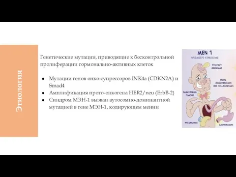 Генетические мутации, приводящие к бесконтрольной пролиферации гормонально-активных клеток Мутации генов онко-супрессоров INK4a