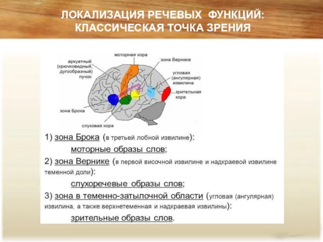 ЛОКАЛИЗАЦИЯ РЕЧЕВЫХ ФУНКЦИЙ: КЛАССИЧЕСКАЯ ТОЧКА ЗРЕНИЯ