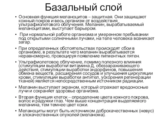 Базальный слой Основная функция меланоцитов – защитная. Они защищают кожный покров и