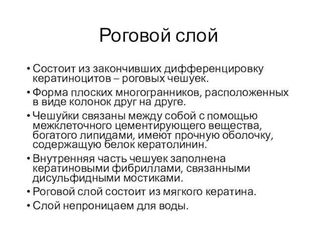 Роговой слой Состоит из закончивших дифферен­цировку кератиноцитов – роговых чешуек. Форма плоских