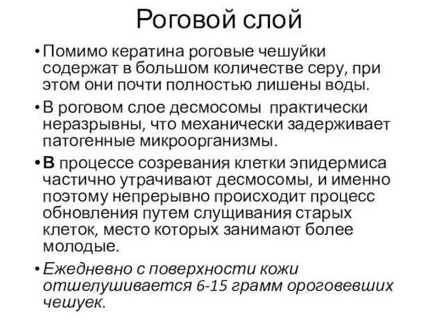 Роговой слой Помимо кератина роговые чешуйки содержат в большом количестве серу, при