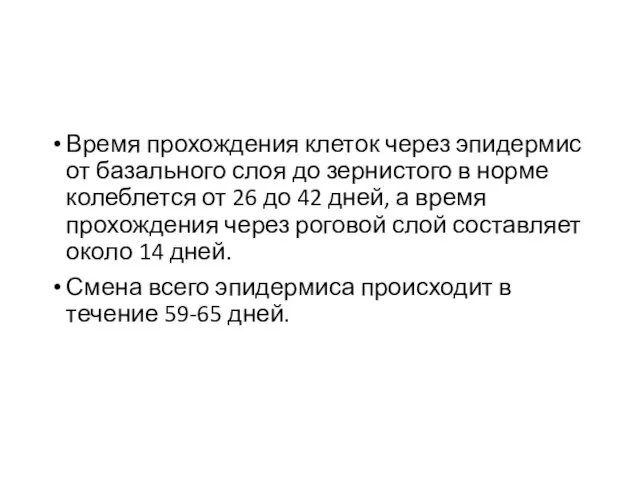 Время прохождения клеток через эпидермис от базального слоя до зернистого в норме