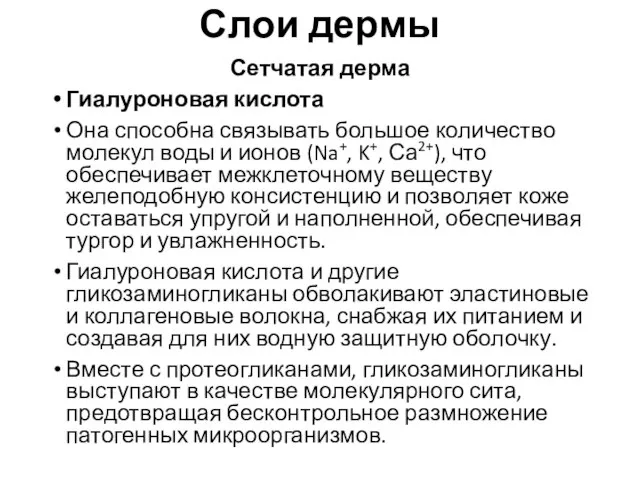 Слои дермы Сетчатая дерма Гиалуроновая кислота Она способна связывать большое количество молекул