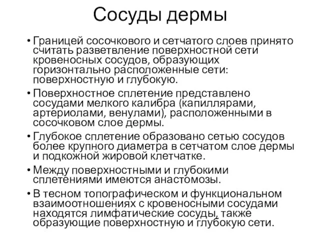 Сосуды дермы Границей сосочкового и сетчатого слоев принято считать разветвление поверхностной сети