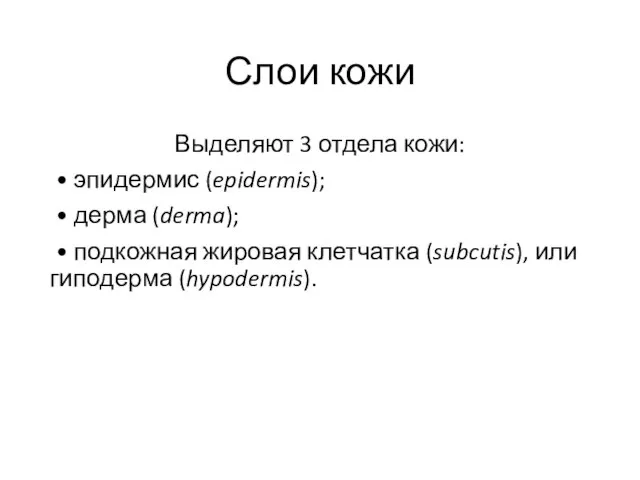 Слои кожи Выделяют 3 отдела кожи: • эпидермис (epidermis); • дерма (derma);