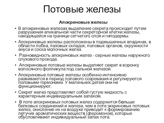 Потовые железы Апокриновые железы В апокриновых железах выделение секрета происходит путем разрушения