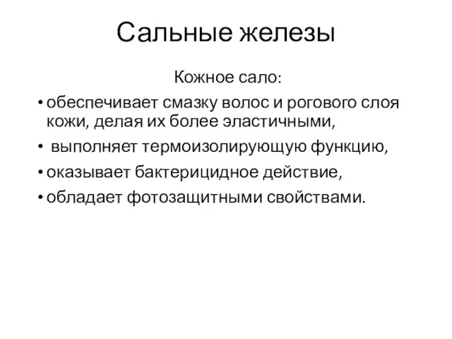 Сальные железы Кожное сало: обеспечивает смазку волос и рогового слоя кожи, делая