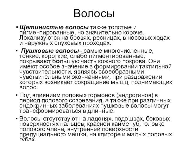 Волосы Щетинистые волосы также толстые и пигментированные, но значительно короче. Локализуются на