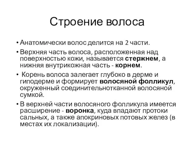 Строение волоса Анатомически волос делится на 2 части. Верхняя часть волоса, расположенная