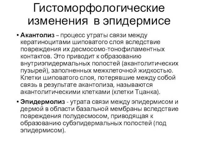 Гистоморфологические изменения в эпидермисе Акантолиз – процесс утраты связи между кератиноцитами шиповатого