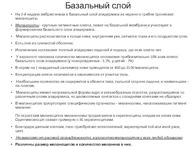 Базальный слой На 2-й неделе эмбриогенеза в базальный слой эпидермиса из нервного