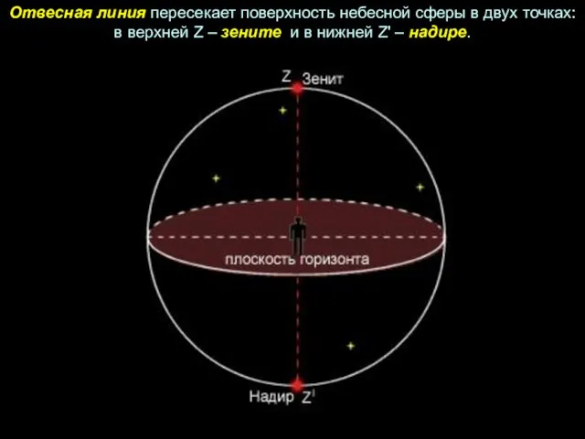 Отвесная линия пересекает поверхность небесной сферы в двух точках: в верхней Z