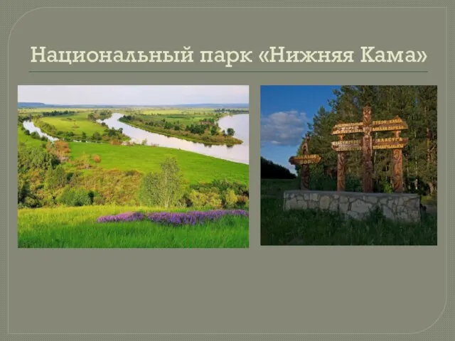 Национальный парк «Нижняя Кама»