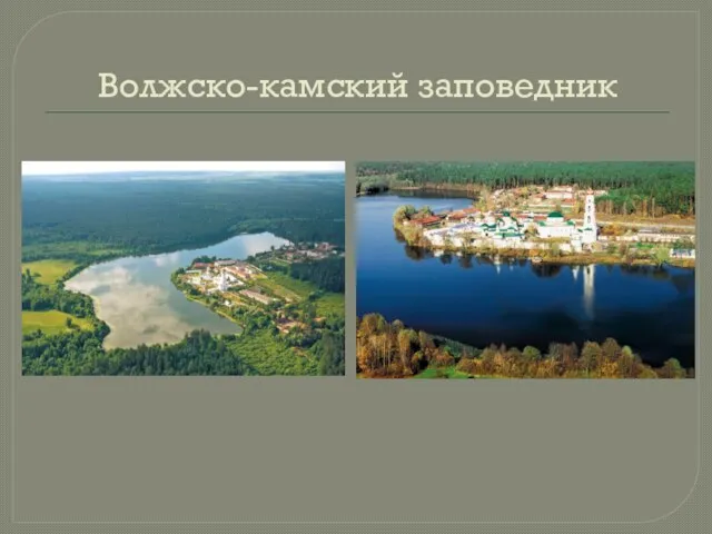 Волжско-камский заповедник