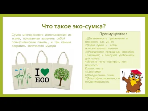 Что такое эко-сумка? Преимущества: Сумка многоразового использования из ткани, призванная заменить собой