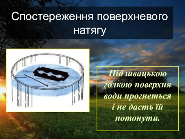 Під швацькою голкою поверхня води прогнеться і не дасть їй потонути. Спостереження поверхневого натягу