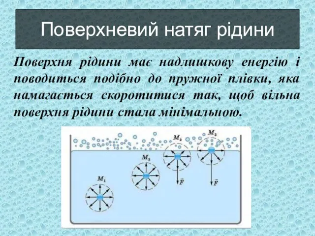 Поверхневий натяг рідини Поверхня рідини має надлишкову енергію і поводиться подібно до