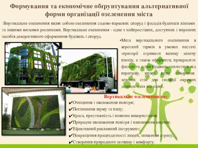 Вертикальне озеленення являє собою озеленення садово-паркових споруд і фасадів будинків ліанами та
