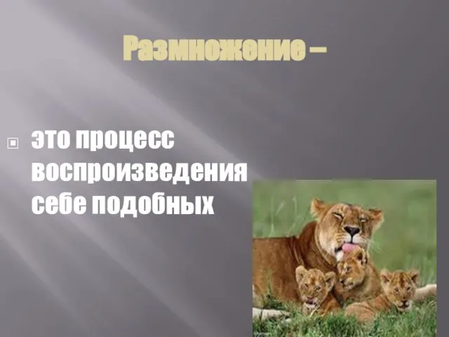 Размножение – это процесс воспроизведения себе подобных