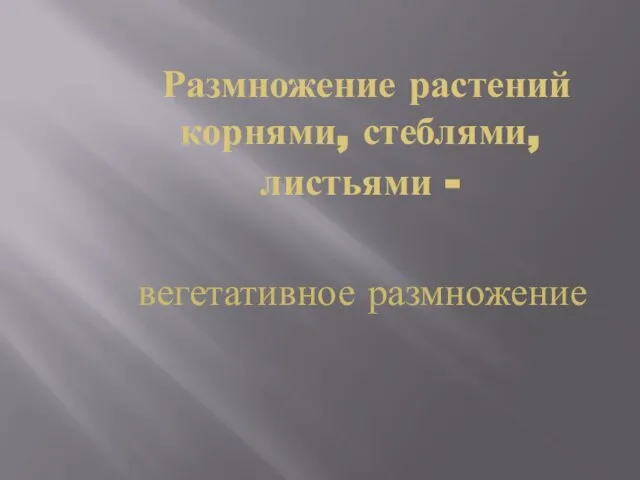 Размножение растений корнями, стеблями, листьями - вегетативное размножение