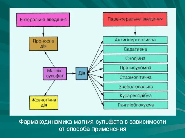 Фармакодинамика магния сульфата в зависимости от способа применения