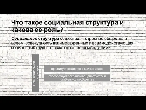 Что такое социальная структура и какова ее роль? Социальная структура общества —