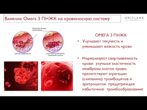 ОМЕГА 3 ПНЖК Улучшают текучесть и уменьшают вязкость крови Нормализуют свертываемость крови: