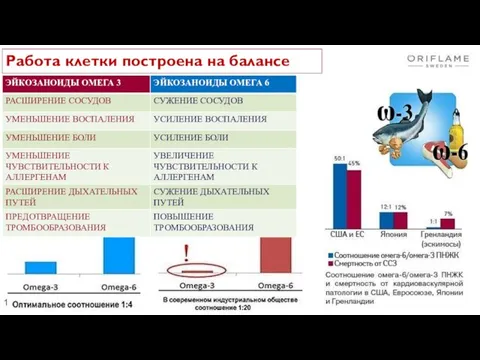 11.04.2019 Работа клетки построена на балансе