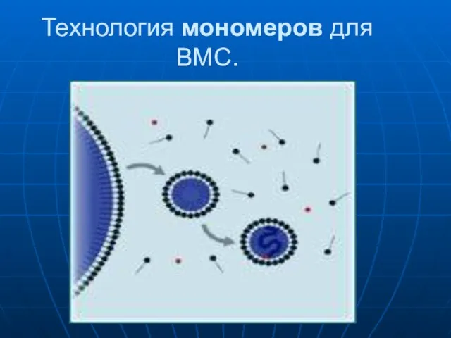 Технология мономеров для ВМС.