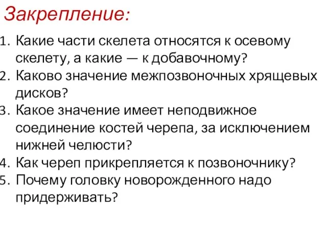 Какие части скелета относятся к осевому скелету, а какие — к добавочному?