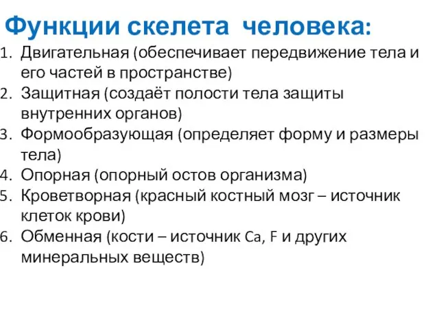 Функции скелета человека: Двигательная (обеспечивает передвижение тела и его частей в пространстве)