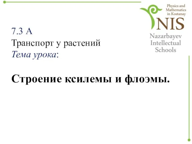 7.3 А Транспорт у растений Тема урока: Строение ксилемы и флоэмы.