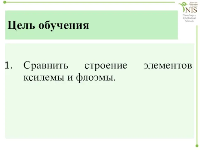 Цель обучения Сравнить строение элементов ксилемы и флоэмы.